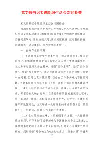 党支部书记专题组织生活会对照检查