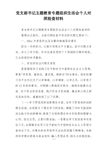 党支部书记主题教育专题组织生活会个人对照检查材料