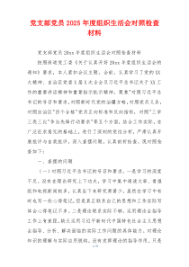 党支部党员2025年度组织生活会对照检查材料