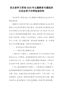 党支部学习贯彻2025年主题教育专题组织生活会班子对照检查材料