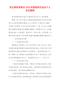 党支部宣传委员2025年度组织生活会个人发言提纲