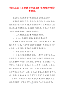 党支部班子主题教育专题组织生活会对照检查材料