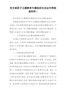 党支部班子主题教育专题组织生活会对照检查材料1