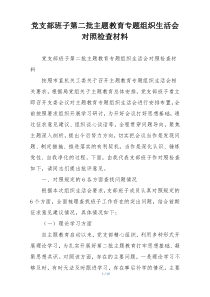 党支部班子第二批主题教育专题组织生活会对照检查材料