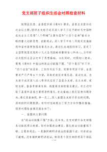 党支部班子组织生活会对照检查材料