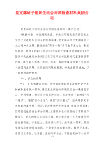 党支部班子组织生活会对照检查材料集团公司