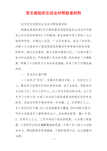 党支部组织生活会对照检查材料
