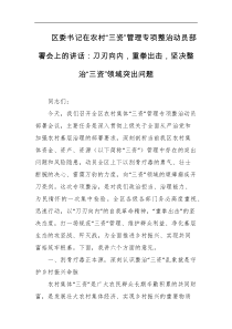 区委书记在农村三资管理专项整治动员部署会上的讲话刀刃向内重拳出击坚决整治三资领域突出问题