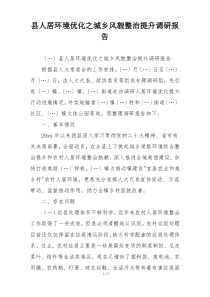 县人居环境优化之城乡风貌整治提升调研报告