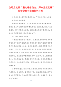 公司党支部“坚定理想信念，严守党纪党规”生活会班子检视剖析材料