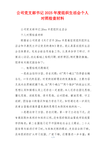 公司党支部书记2025年度组织生活会个人对照检查材料