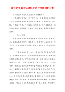 公司党支部书记组织生活会对照剖析材料