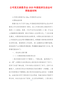 公司党支部委员会2025年度组织生活会对照检查材料