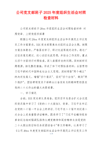 公司党支部班子2025年度组织生活会对照检查材料