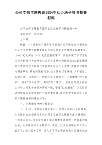 公司支部主题教育组织生活会班子对照检查材料