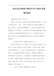 县农业农村局班子推动乡村产业振兴发展情况报告
