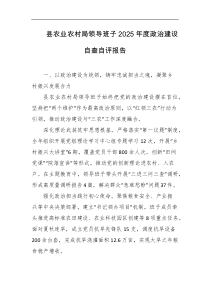 县农业农村局领导班子2025年度政治建设自查自评报告