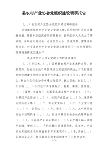 县农村产业协会党组织建设调研报告