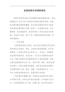 县域招商引资调研报告