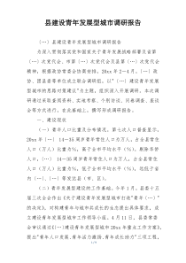 县建设青年发展型城市调研报告