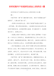 农村纪检专干在组织生活会上的讲话3篇