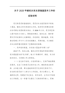关于2025年镇机关党支部强基固本工作的经验材料