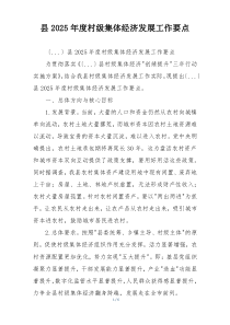 县2025年度村级集体经济发展工作要点
