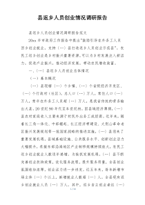 县返乡人员创业情况调研报告