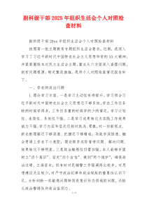 副科级干部2025年组织生活会个人对照检查材料