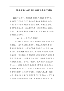 国企纪委2025年上半年工作情况报告