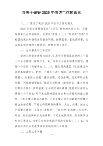 县关于做好2025年信访工作的意见