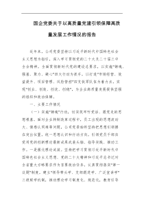 国企党委关于以高质量党建引领保障高质量发展工作情况的报告