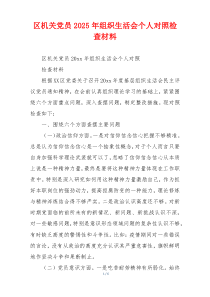 区机关党员2025年组织生活会个人对照检查材料