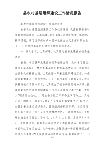 县农村基层组织建设工作情况报告
