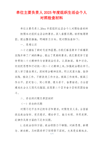 单位主要负责人2025年度组织生活会个人对照检查材料
