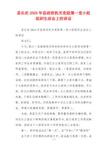 县长在2025年县政府机关党组第一党小组组织生活会上的讲话