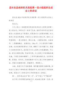 县长在县政府机关党组第一党小组组织生活会上的讲话