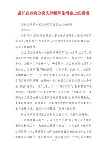 县长在政府办党支部组织生活会上的讲话