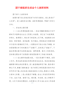 团干部组织生活会个人剖析材料