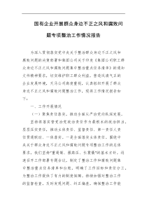 国有企业开展群众身边不正之风和腐败问题专项整治工作情况报告