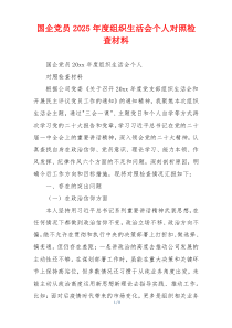 国企党员2025年度组织生活会个人对照检查材料