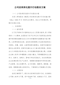 公司改革深化提升行动落实方案