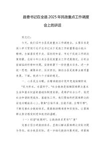 县委书记在全县2025年民政重点工作调度会上的讲话