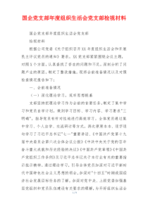 国企党支部年度组织生活会党支部检视材料