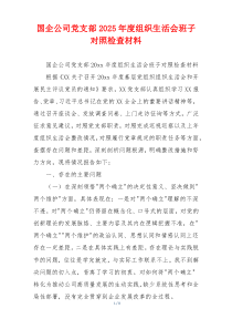 国企公司党支部2025年度组织生活会班子对照检查材料