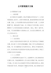 公司管理提升方案