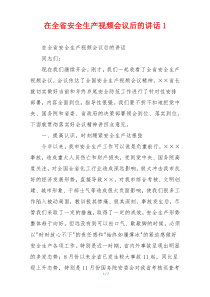 在全省安全生产视频会议后的讲话1