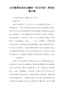 公安夏季治安打击整治“百日行动”具体实施方案