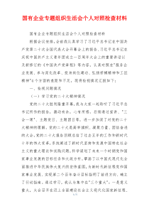国有企业专题组织生活会个人对照检查材料