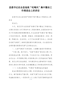 县委书记在全县违规“吃喝风”集中整治工作推进会上的讲话